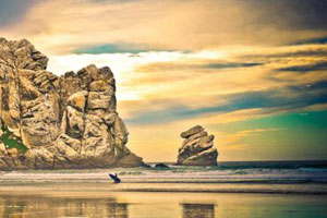 专业代购的网站攻击软件工具