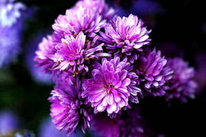 便宜的代充平台求的网站攻击软件